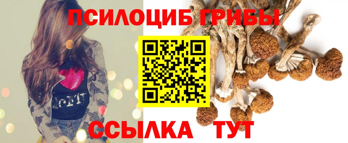 Галлюциногенные грибы GOLDEN TEACHER Качканар